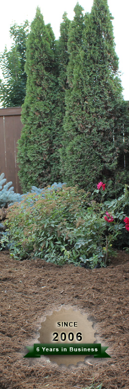 Ottawa Landscaping - Grow Green