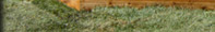 Landscaping Ontario Grow Green Property Maintenance Inc.